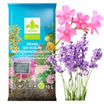 Ziemia do śródziemnomorskich 10L Kronen