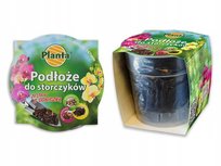 Ziemia Do Storczyków Zestaw Z Doniczką 1,1 L
