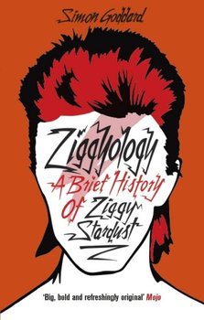 Ziggyology: A Brief History of Ziggy Stardust - Goddard Simon