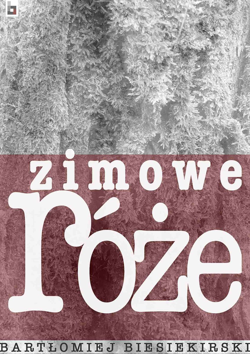 Zimowe róże - ebook epub