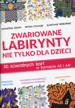 Zwariowane labirynty nie tylko dla dzieci - Szłapa Katarzyna, Tomasik Iwona, Wrzesiński Sławomir