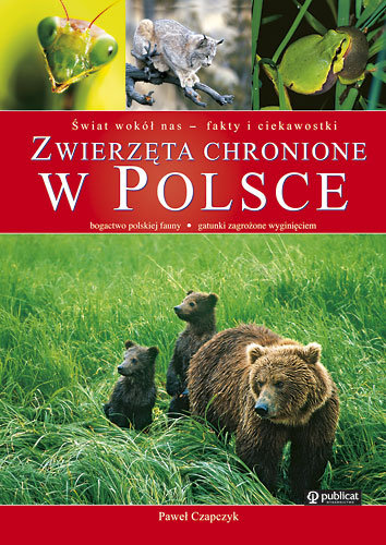 Zwierzęta Chronione W Polsce - Czapczyk Paweł | Książka W Empik