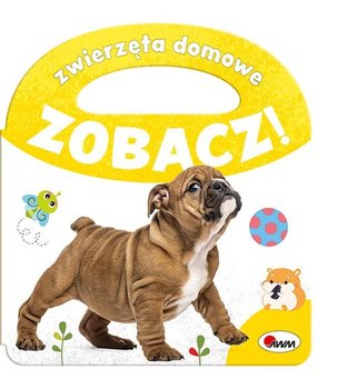 Zwierzęta domowe. Zobacz! - Opracowanie zbiorowe