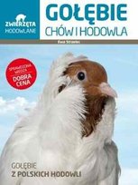 Zwierzęta hodowlane. Gołębie. Chów i hodowla Strzelec Ewa