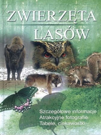 Zwierzęta lasów