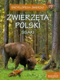 Zwierzęta Polski. Ssaki - Zarych Elżbieta
