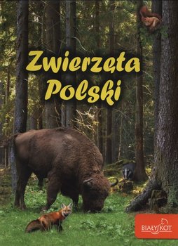 Zwierzęta Polski - Zarych Elżbieta