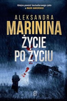 Życie po życiu. Anastazja Kamieńska. Tom 28 - Aleksandra Marinina