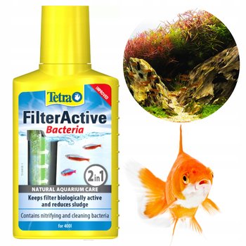 ŻYWE BAKTERIE DLA RÓWNOWAGI W AKWARIUM BIO STARTER FILTERACTIVE 100ML - Tetra