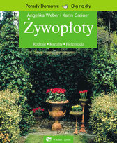 Żywopłoty Weber Angelika