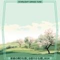 新緑の輝きを感じる穏やかな癒しbgm Starlight Grass Tune