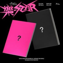 straykids 5-star limited 限定盤 直筆サイン入りアルバム 楽天市場】安心・迅速の日本国内発送 3RD FULL ALBUM 5-STAR