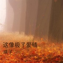 這像極了愛情 瑛子