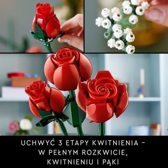 17097324805467518-jpg-gallery.big-iext14