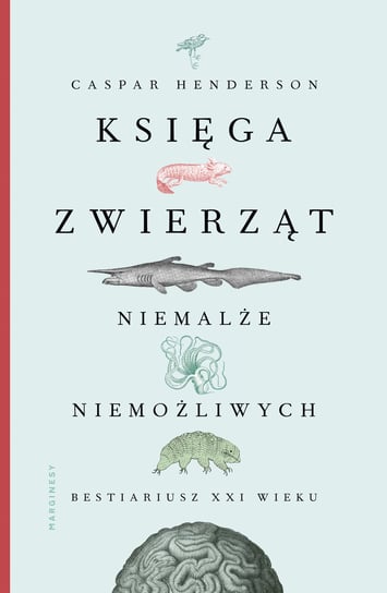 Obrazek