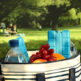 極上天球　ケース付　81g/高さ約20㎝　東Y7-0924③トヒサ WKŁADY CHŁODZĄCE MROŻĄCE DO LODÓWEK TURYSTYCZNYCH TOREB ZESTAW