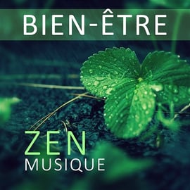  Musique pour Dormir : Musique Relaxante Relax & Bien Dormir &  Zen Meditation and Natural White Noise and New Age Deep Massage: Digital  Music