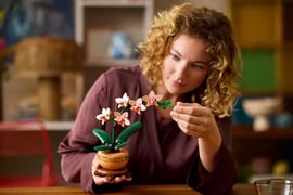 LEGO® ICONS BOTANICAL COLLECTION MAŁA ORCHIDEA (10343)– Idealny