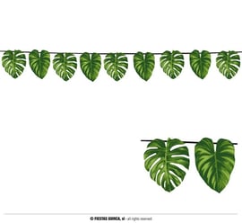 rare philodendron species Philodendron distantilobum main image 0