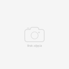 Bag O Demons The Jim Jones Revue Muzyka Mp3 Sklep Empik Com