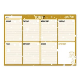 HARRY POTTER - Wall Calendar 2024 : : Calendar Grupo Erik Harry  Potter