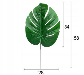 philodendron new red Philodendron New Red main image 1