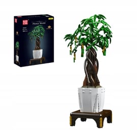 bambuser forum Nicht-ausluferbildender Bambus Kollektion (x2) - Fargesia robusta  campbell, fargesia scabrida asian wonder
