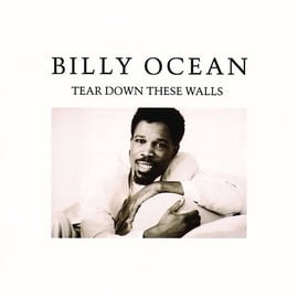 数量は多い  Tear Sklep mp3 Muzyka, | Ocean Billy - Walls These Down アイウェア