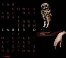 洋楽 V/Vm The Owls Are Not What They Seem The Owls Are Not What They Seem - Labtrio | Muzyka Sklep