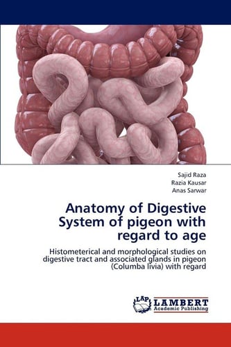 Anatomy of Digestive System of pigeon with regard to age - Raza Sajid ...