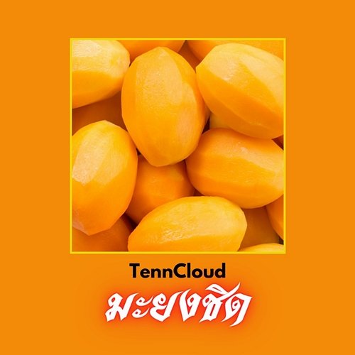 มะยงชิด TennCloud