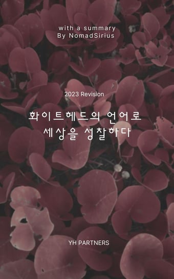 화이트헤드의 언어로 세상을 성찰하다 - ebook epub Nomadsirius