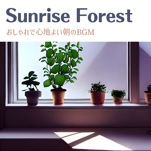 おしゃれで心地よい朝のbgm Sunrise Forest