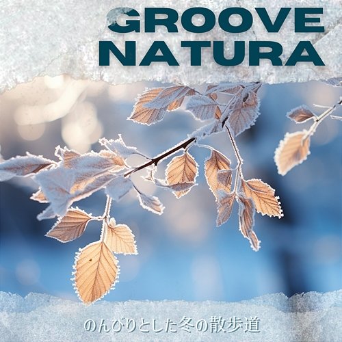 のんびりとした冬の散歩道 Groove Natura