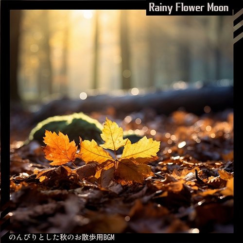 のんびりとした秋のお散歩用bgm Rainy Flower Moon