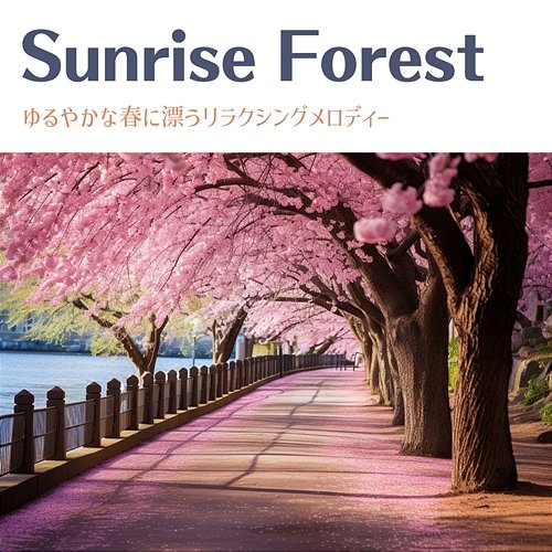 ゆるやかな春に漂うリラクシングメロディー Sunrise Forest