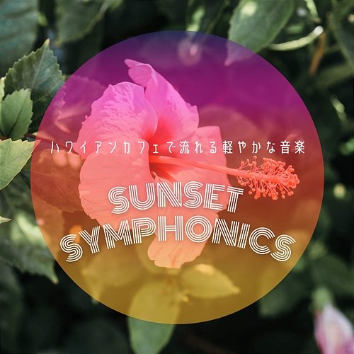ハワイアンカフェで流れる軽やかな音楽 Sunset Symphonics