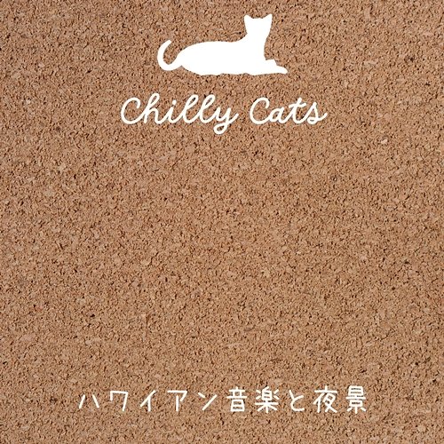 ハワイアン音楽と夜景 Chilly Cats