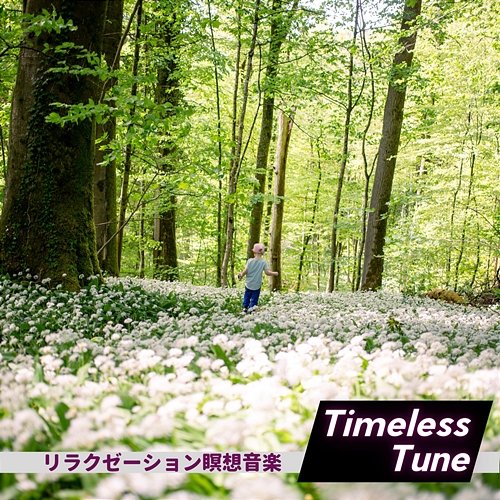 リラクゼーション瞑想音楽 Timeless Tune