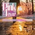 冬のウォーキングに Pink 4ever