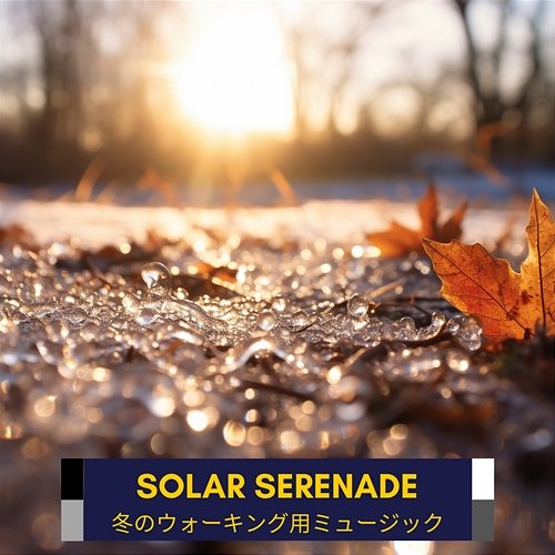 冬のウォーキング用ミュージック Solar Serenade
