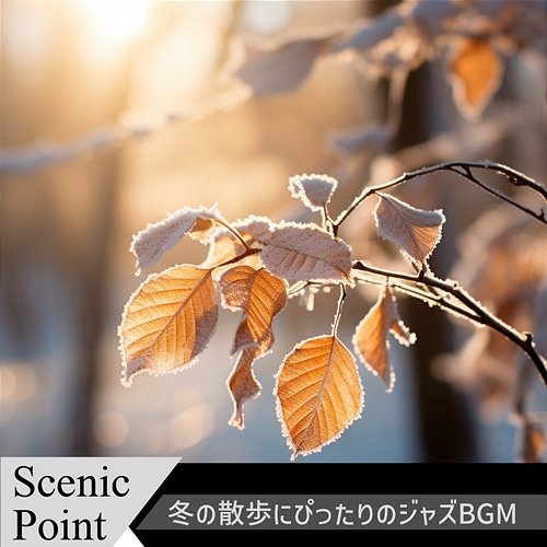 冬の散歩にぴったりのジャズbgm Scenic Point