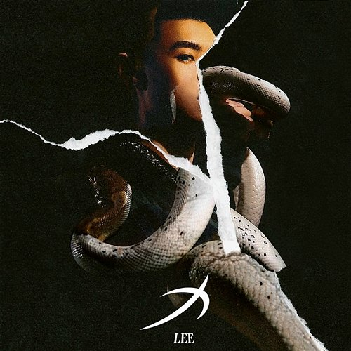 力 LEE 孫王力