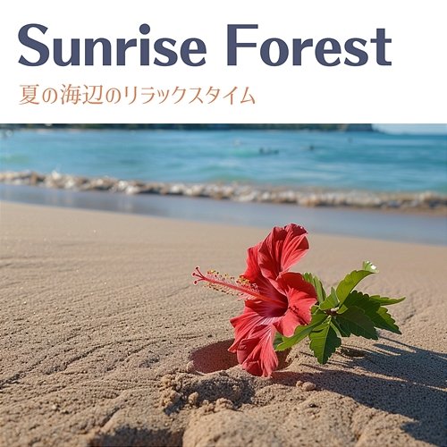 夏の海辺のリラックスタイム Sunrise Forest