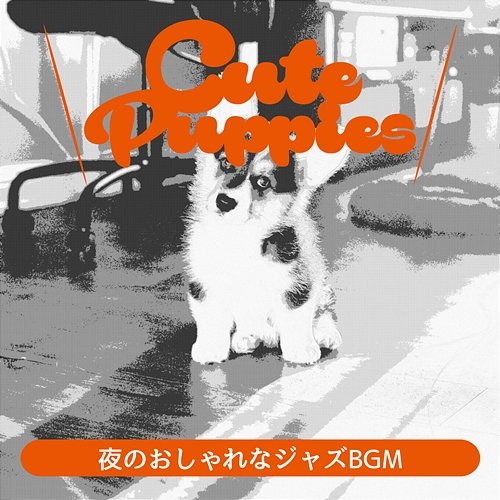 夜のおしゃれなジャズbgm Cute Puppies