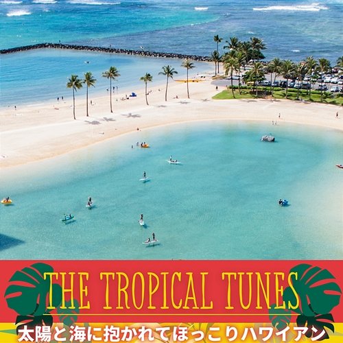 太陽と海に抱かれてほっこりハワイアン The Tropical Tunes