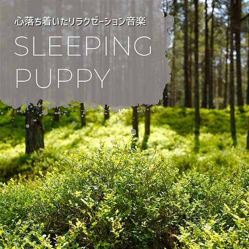 心落ち着いたリラクゼーション音楽 Sleeping Puppy
