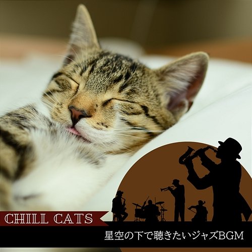 星空の下で聴きたいジャズbgm Chill Cats