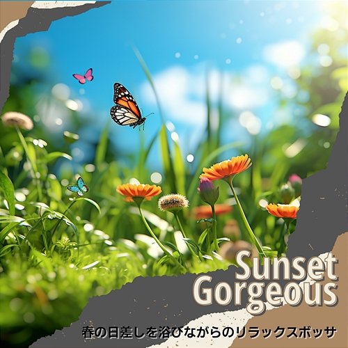 春の日差しを浴びながらのリラックスボッサ Sunset Gorgeous