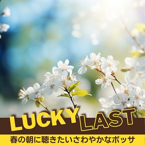 春の朝に聴きたいさわやかなボッサ Lucky Last